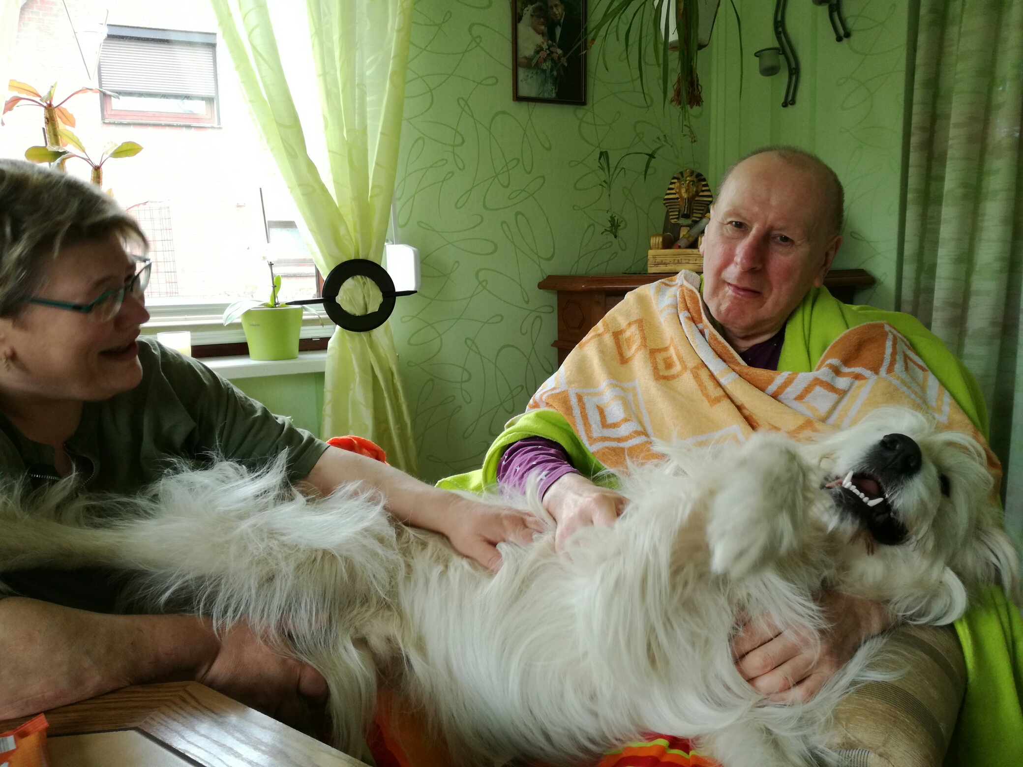 Heike Lange trainiert ihre Hunde