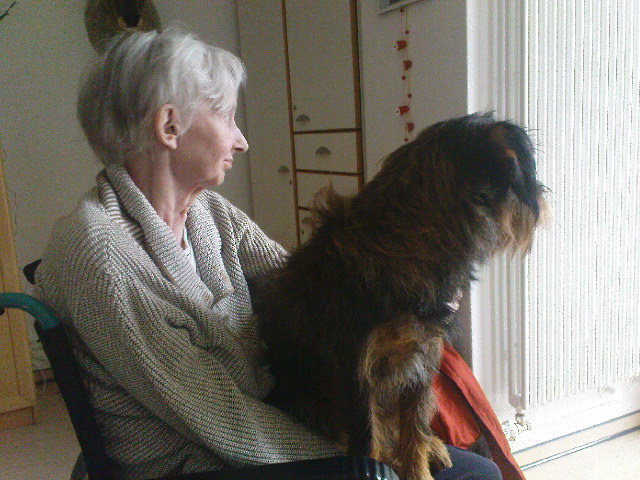 Therapiehunde und Senioren - Krankenhaus, Altenheim